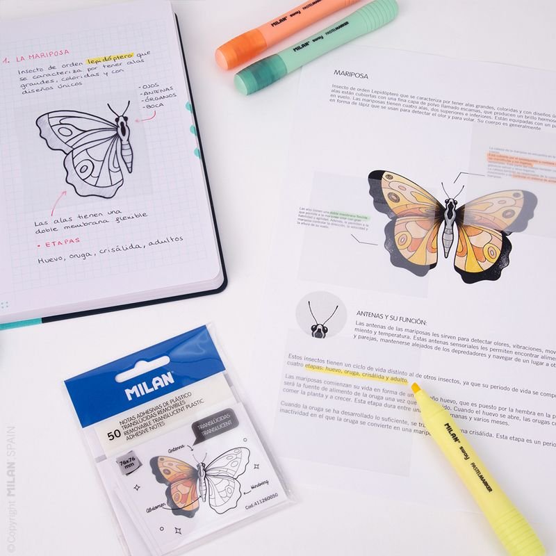 EAN 8411574102007 - Milan 411260050 etiqueta autoadhesiva Plaza Desmontable Transparente, Blanco 50 pieza(s) imagen 2