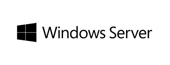 Microsoft Winsvr 2025 Std Addlic 2core Rok