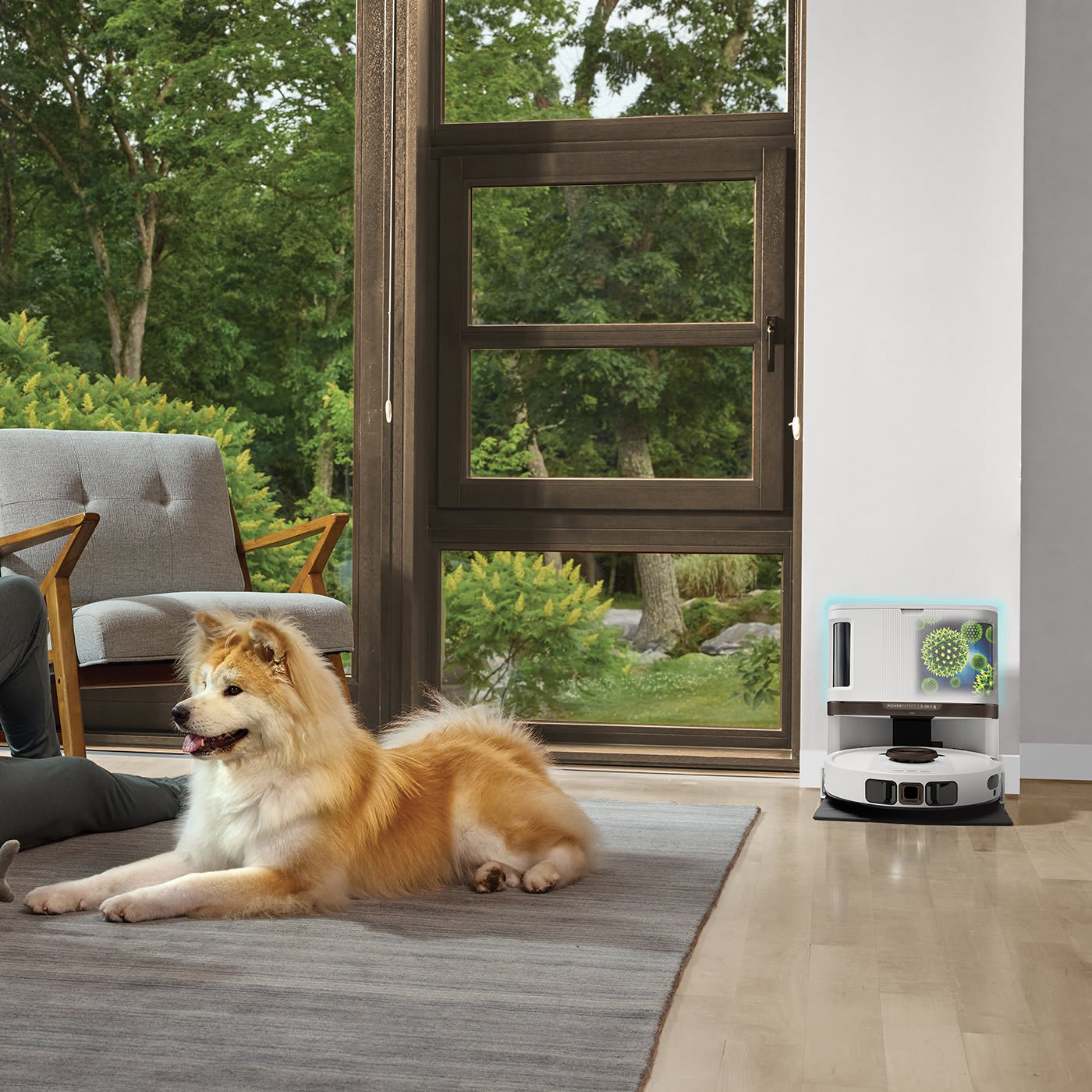 Robot Aspirador E Hidratante Shark Rv2800zeeuwh