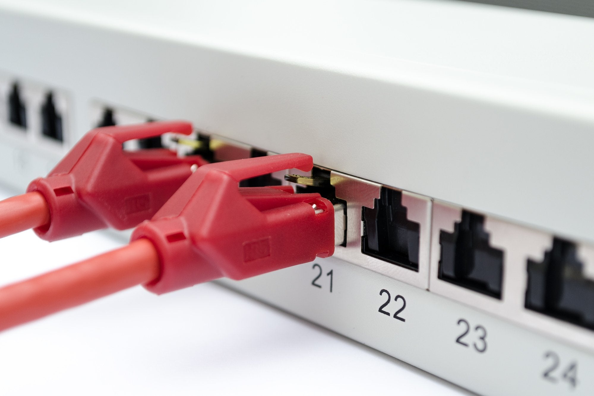 EAN 4016032288428 - Digitus DN-91624S-EA panel de parcheo 1U imagen 6