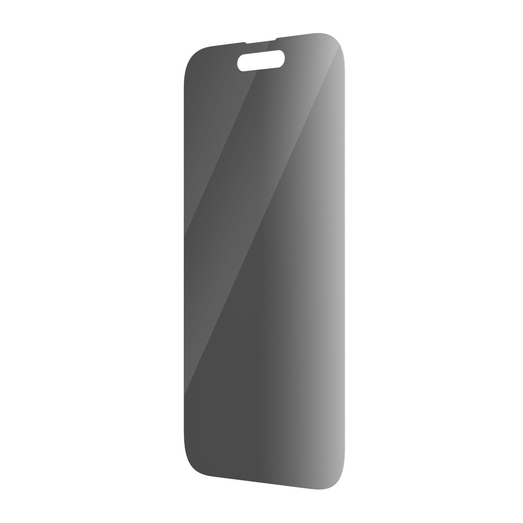 Iphone 2022 6.1 Pro Privacy Ab Accs 6.1in Pro Ab Prv