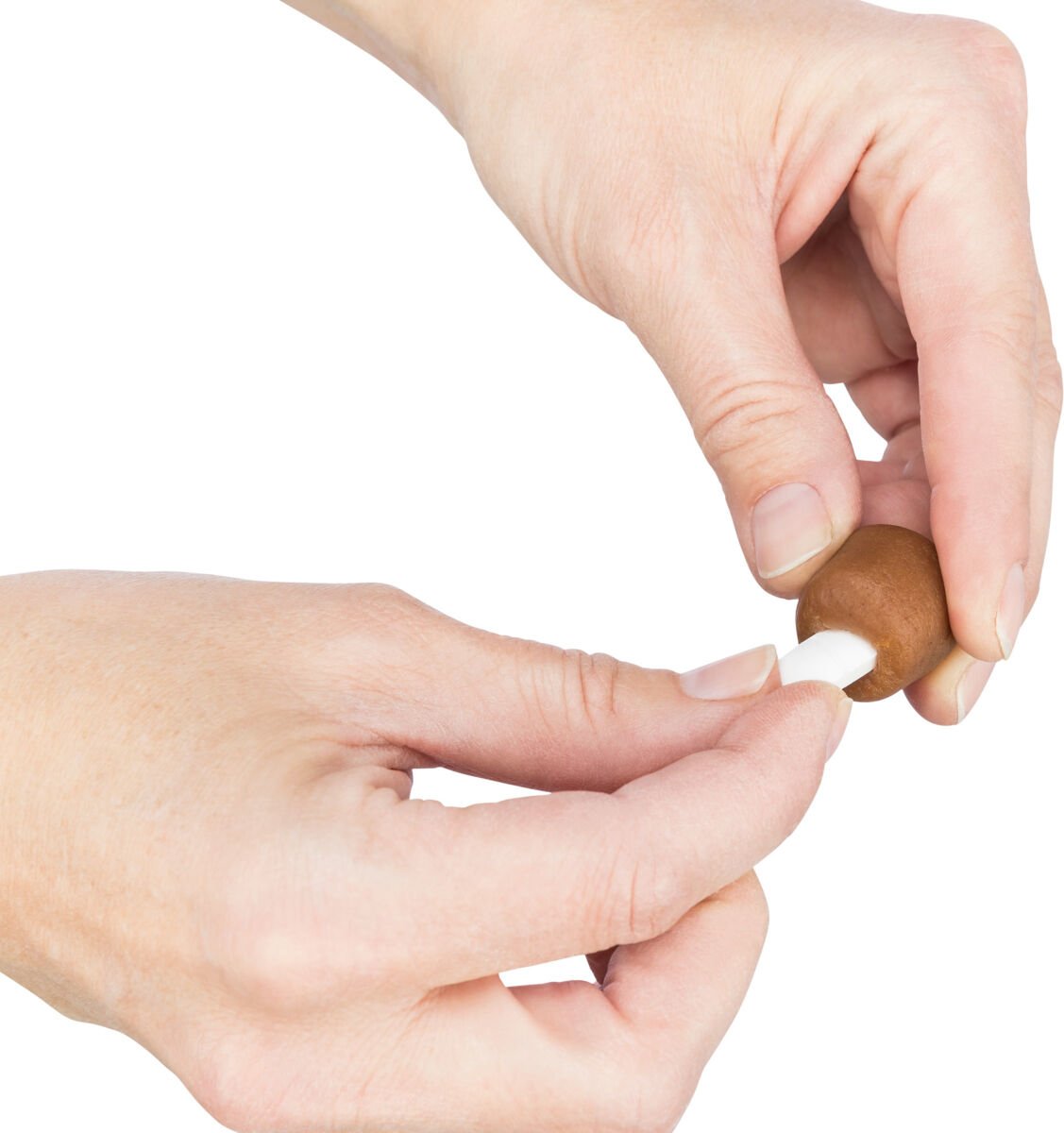 EAN 4011905258416 - TRIXIE 25841 premio y golosina para perro y gato Snacks 100 g imagen 5