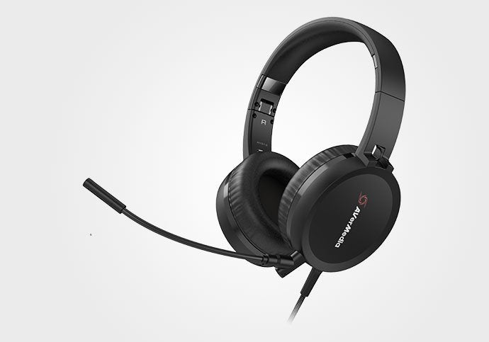 Kit Webcam + Headset Avermedia Bo317 Webcam Pw313/Headset Ah313/Microfono Extraible Bo317