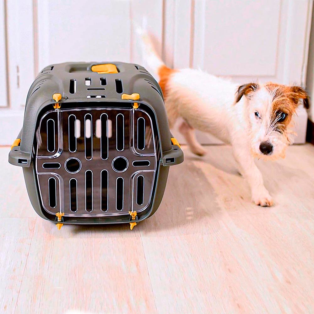 Jet 10 - Transportador Para Animales