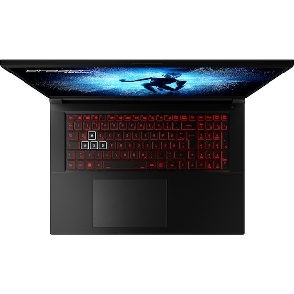 Portátil Gaming Medion Erazer Defender P40 Intel Core I7-13700hx 16gb 1tb Ssd Geforce Rtx 4060 17.3' Sin Sistema Operativo