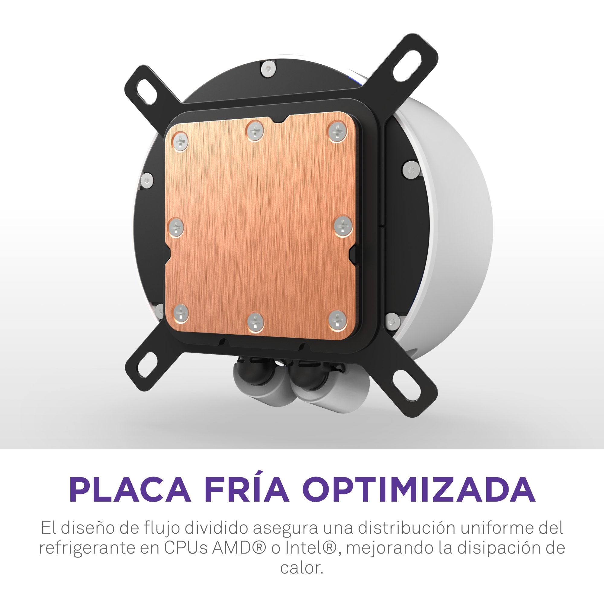 EAN 5056547204192 - NZXT Kraken Elite 360 RGB Procesador Sistema de refrigeración líquida todo en uno 12 cm Blanco 1 pieza(s) imagen 15