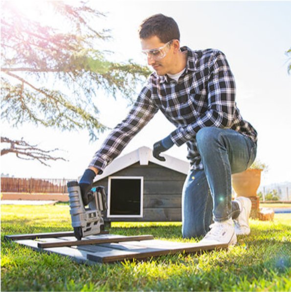 Grapadora Cecoraptor Perfect Staples&Nails 2020 Advance