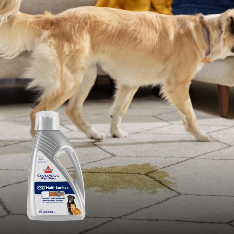 EAN 0011120278736 - Bissell CrossWave Pet Pro Oxy Detergente Aspiradora escoba imagen 4