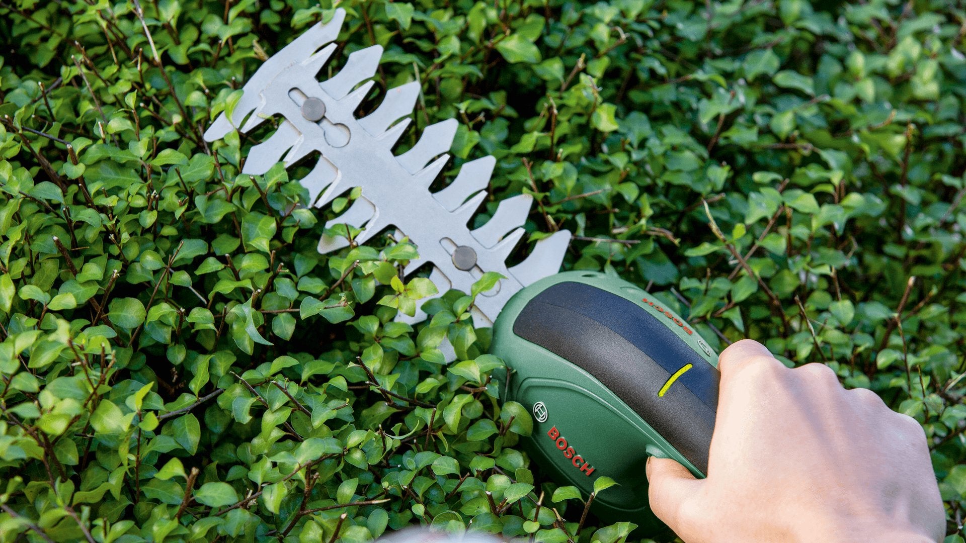 EAN 4059952615547 - Bosch Easy Shear tijera de césped inalámbrica 8 cm 3,6 V Ión de litio Negro, Verde imagen 6