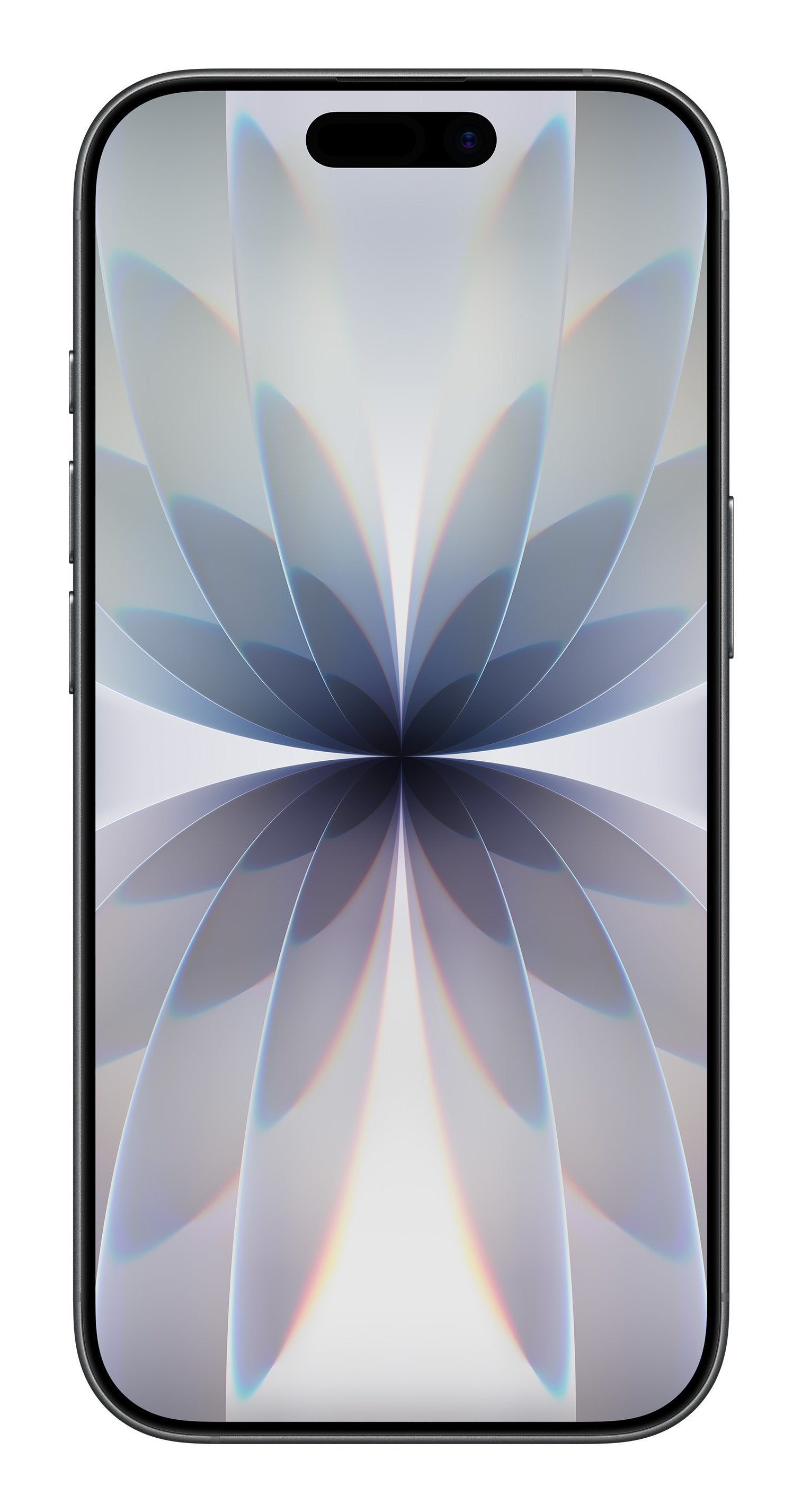 EAN 195950643589 - Apple iPhone 17 16 cm (6.3") SIM doble iOS 26 5G USB Tipo C 256 GB Negro imagen 2