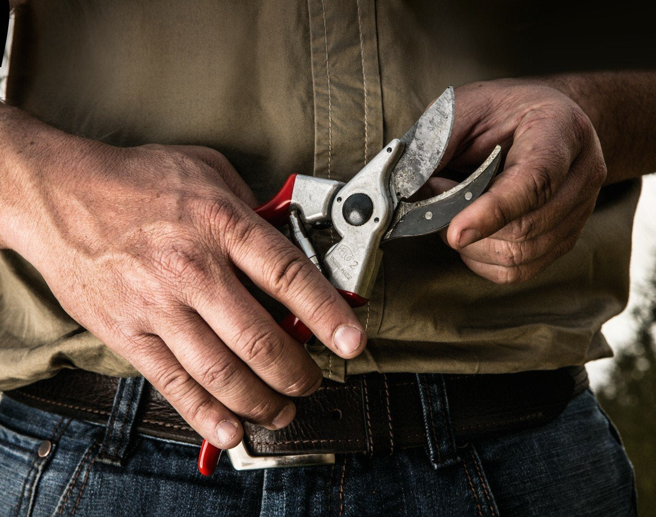 Felco 2 Tijeras De Podar Anvil Rojo