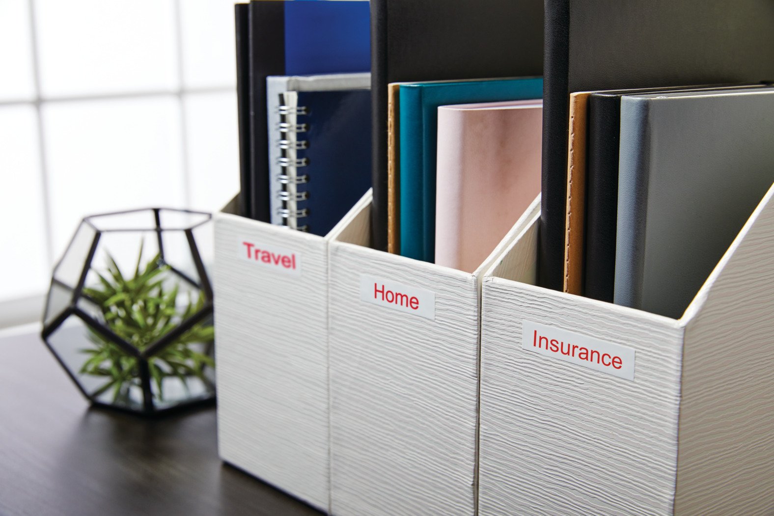 EAN 5411313450157 - DYMO D1 Standard - Red on White - 12mm cinta para impresora de etiquetas imagen 12