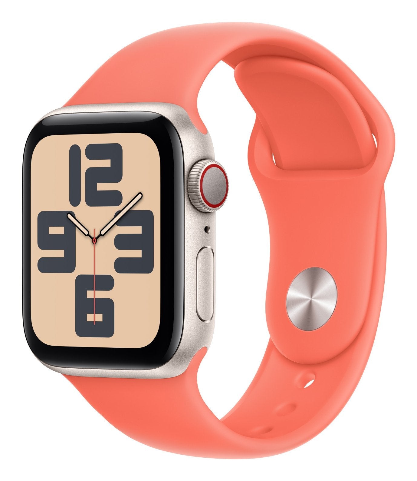 EAN 0195950241433 - Apple MDRR4ZM/A Accesorios para dispositivos vestibles inteligentes Grupo de rock Naranja Fluoroelastómer imagen 2
