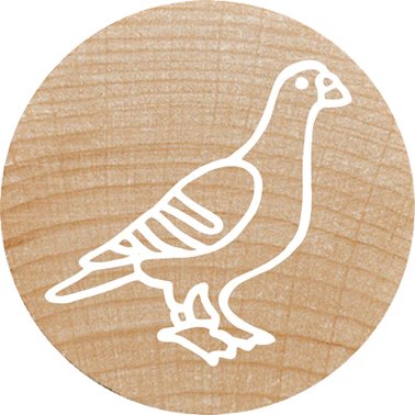 EAN 9004362534471 - Colop 165224 imagen 10