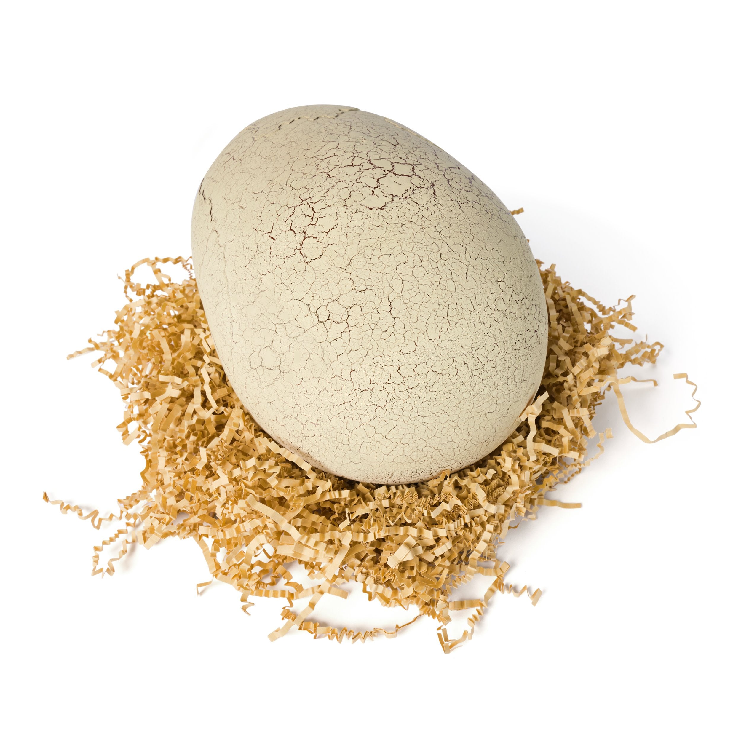 Spinmaster Primal Hatch - Interaktiver T-Rex Im Ei 6072462