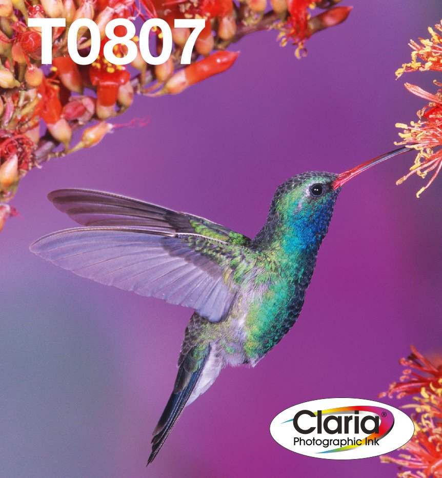 EAN 8715946542553 - Epson Hummingbird T0807 cartucho de tinta 1 pieza(s) Original Negro, Cian, Cian claro, Magenta claro, Mag imagen 1