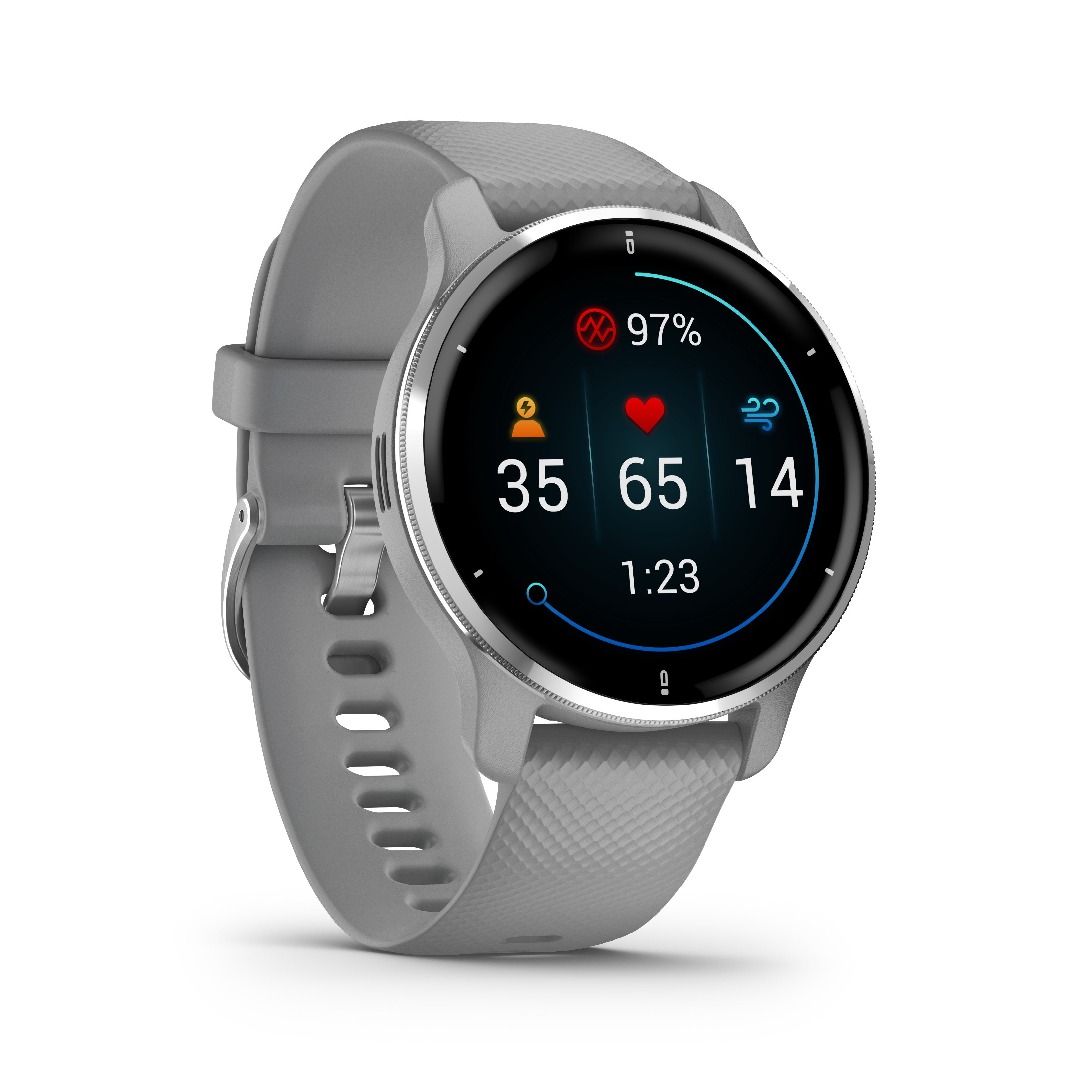 Smartwatch Garmin Venu 2 Plus Notificaciones Frecuencia Cardíaca Gps Plata Y Gris