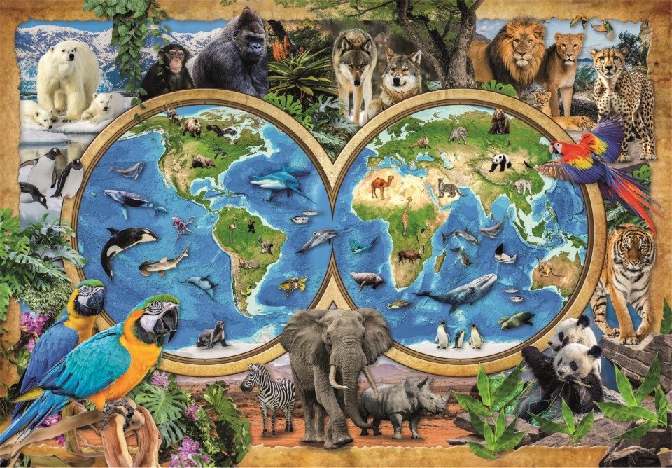 EAN 8005125217236 - Clementoni Supercolor 21723 puzzle Puzzle rompecabezas 300 pieza(s) Animales imagen 2