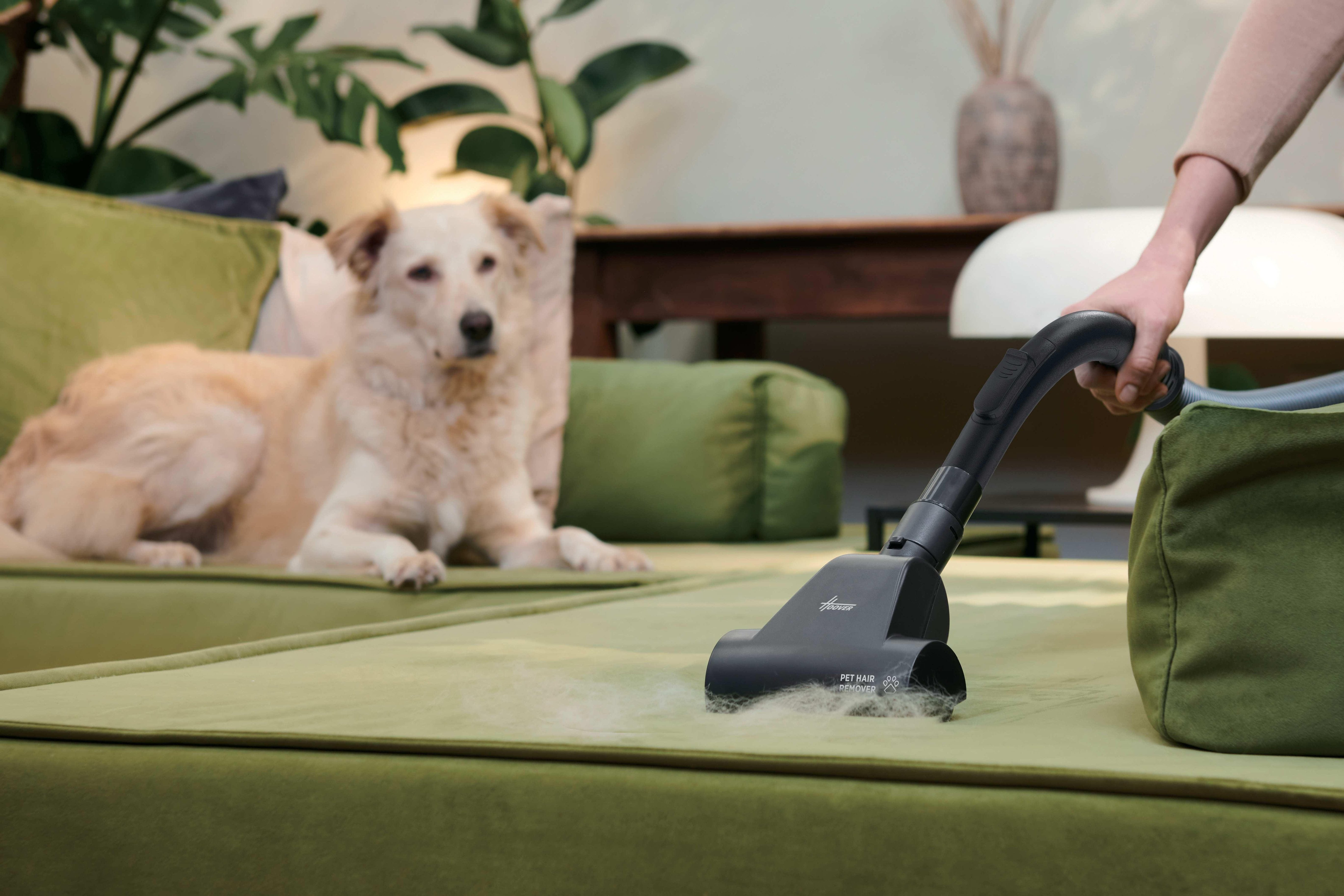 EAN 8059019111506 - Hoover HP210P 011 2,5 L Aspiradora cilíndrica Secar 800 W Sin bolsa imagen 13