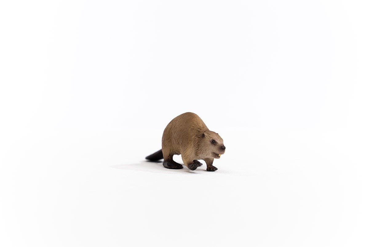 Schleich Castor Vida Salvaje 14855