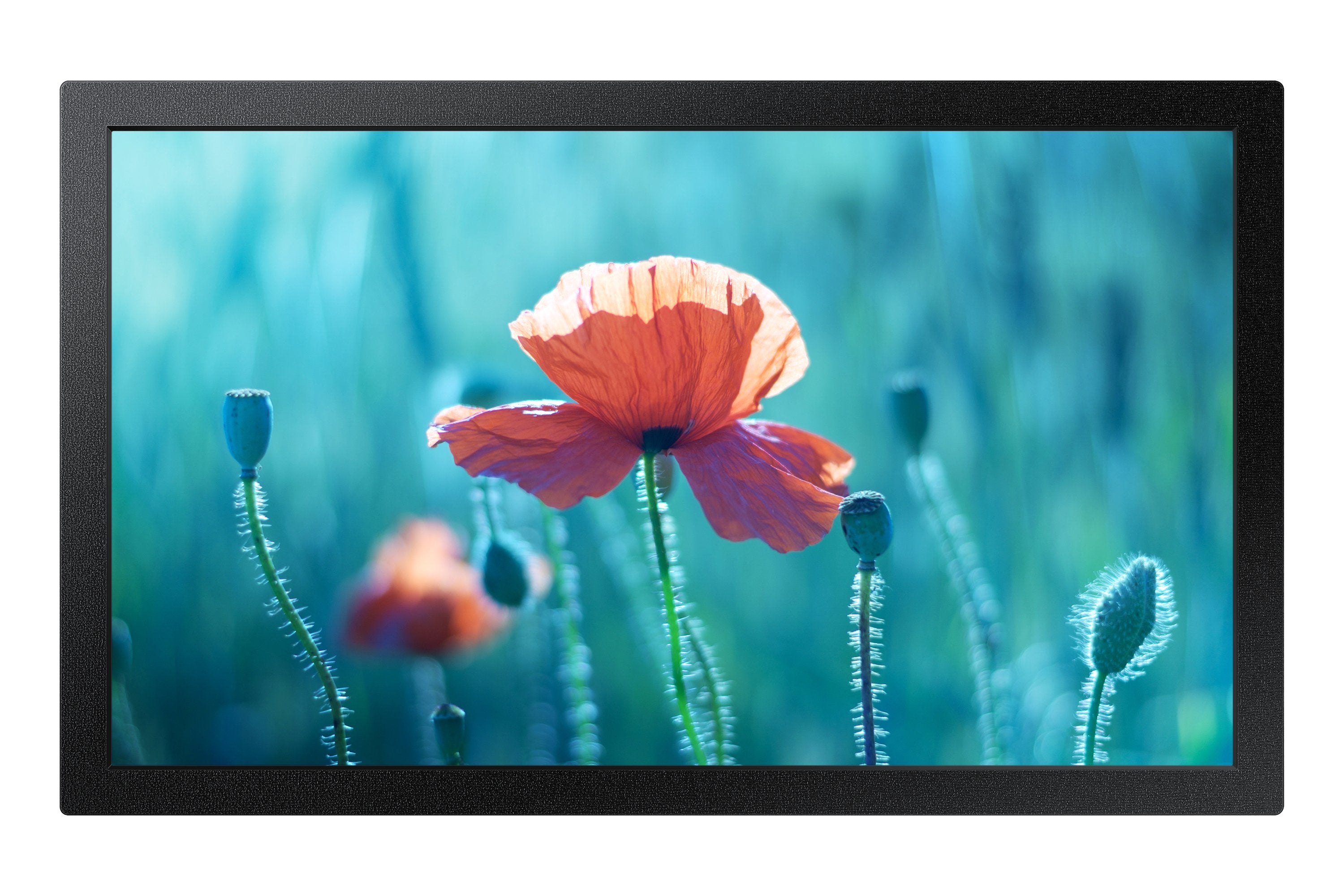 EAN 8806094965469 - Samsung QB13R-M Pantalla plana para señalización digital 33 cm (13") LCD Wifi 500 cd / m² Full HD Negro P imagen 1