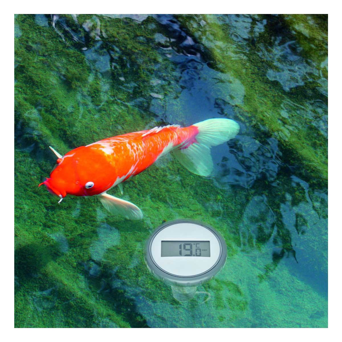 Termómetro De Piscina Tfa 30.3067.10 Rc