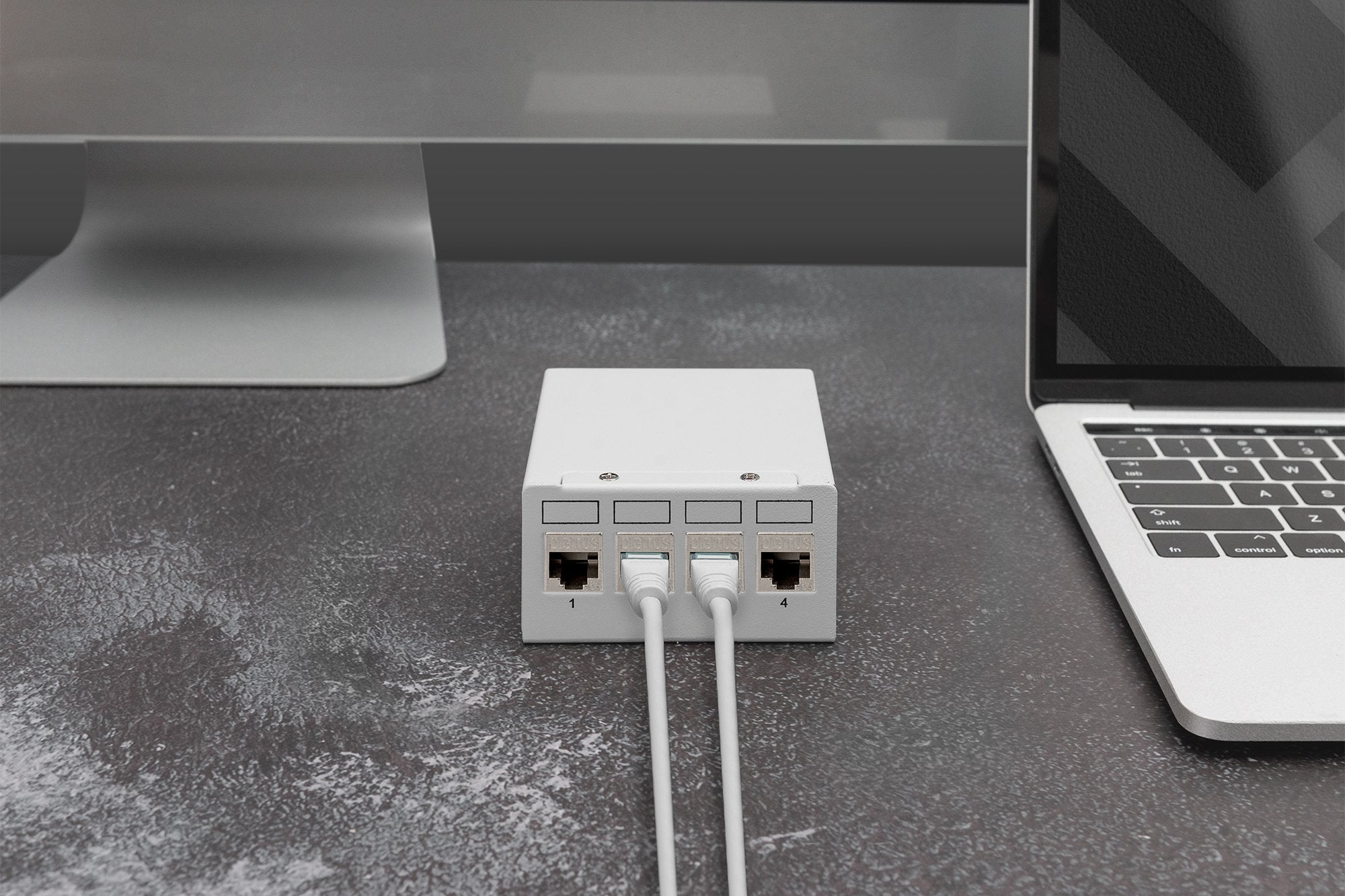 EAN 4016032490609 - Digitus DN-93617-4 módulo de conector de red imagen 5