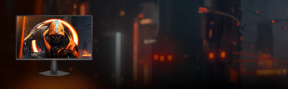24 Fhd Ips Gaming Monitor