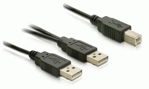 Delock Cable Usb 2.0-B > Usb-A Power + Power/Data