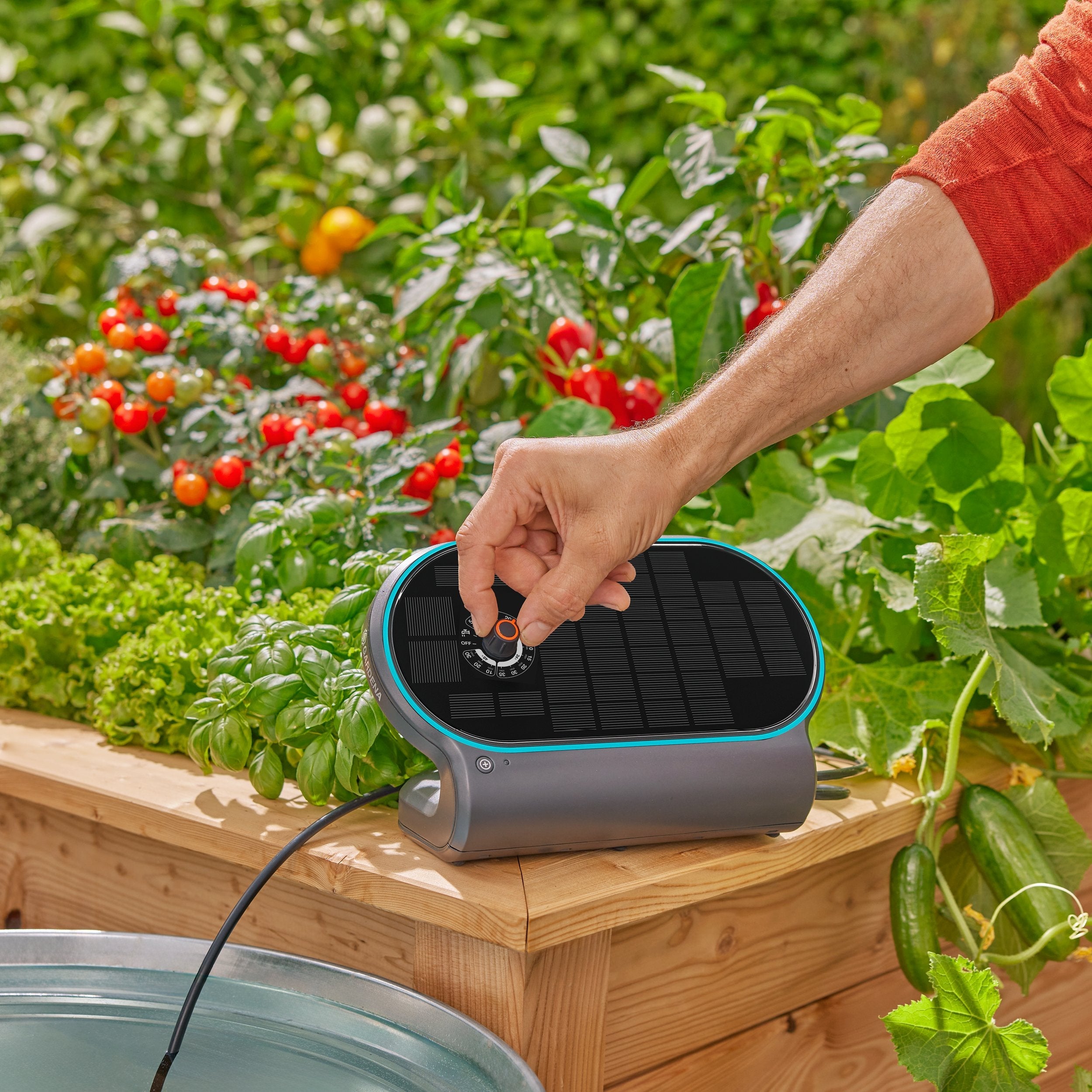 Gardena Riego Solar Aquabloom L Set, Control De Riego Gris/Turquesa, Para Hasta 30 Plantas 13330-20