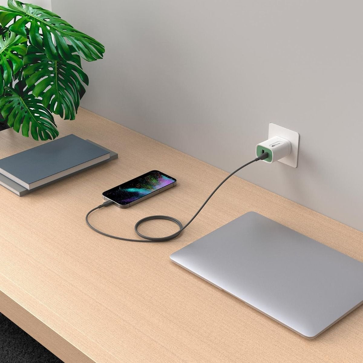 Gp Batteries Cl1p Cable Usb 1 M Usb C Lightning Gris