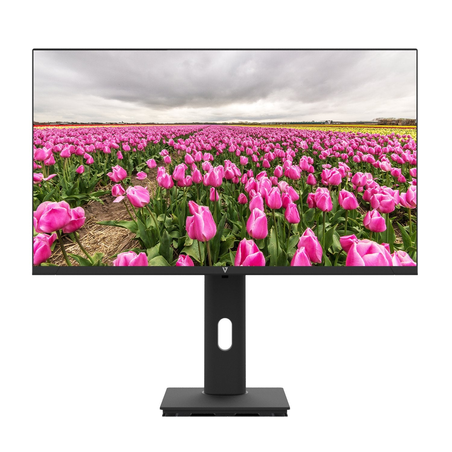 EAN 662919122015 - V7 L238V0-HAS-E pantalla para PC 60,5 cm (23.8") 1920 x 1080 Pixeles Negro imagen 1
