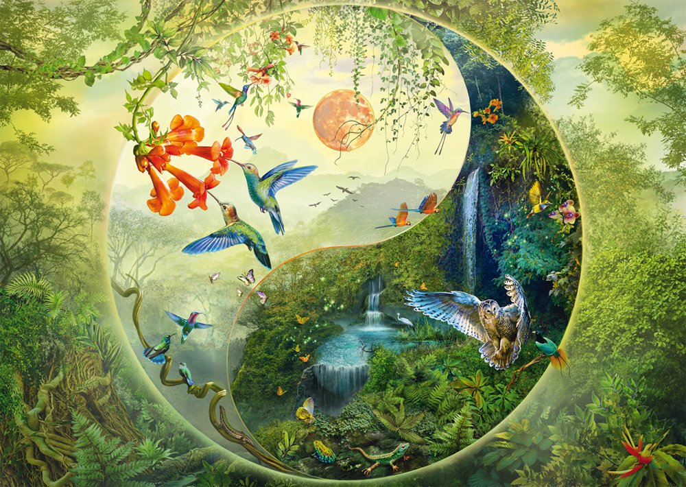 Schmidt Spiele Silvia Christoph: Yin & Yang Im Wald Der Kolibris (1000 Teile) 58595
