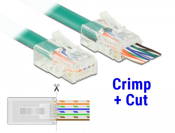 Delock 86453 Conector Rj-45 Transparente