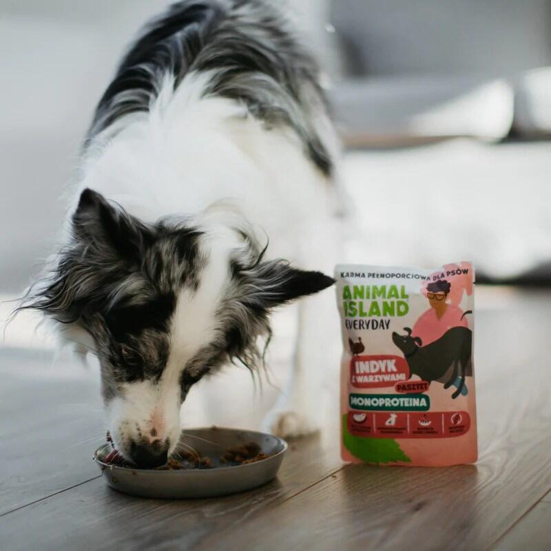 Animal Island Monoproteinowa Indyk Para Perro 9x300g