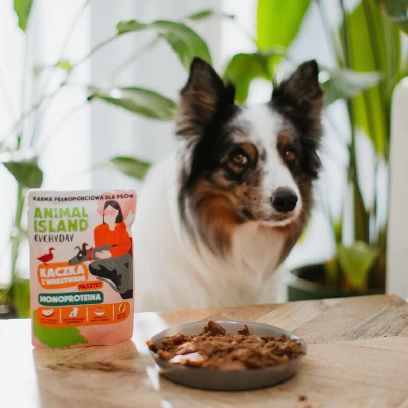 Animal Island Monoproteinowa Kaczka Karma Para Perro 9x300g