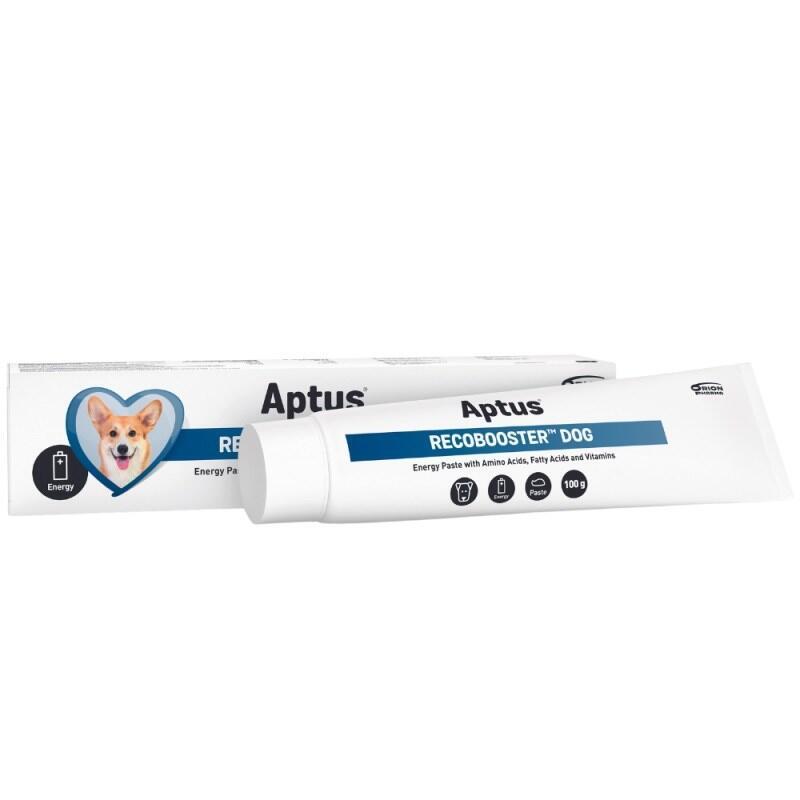 Aptus Recobooster Dog Nutrition And Appetite - Suplementos Para Perros 100 G