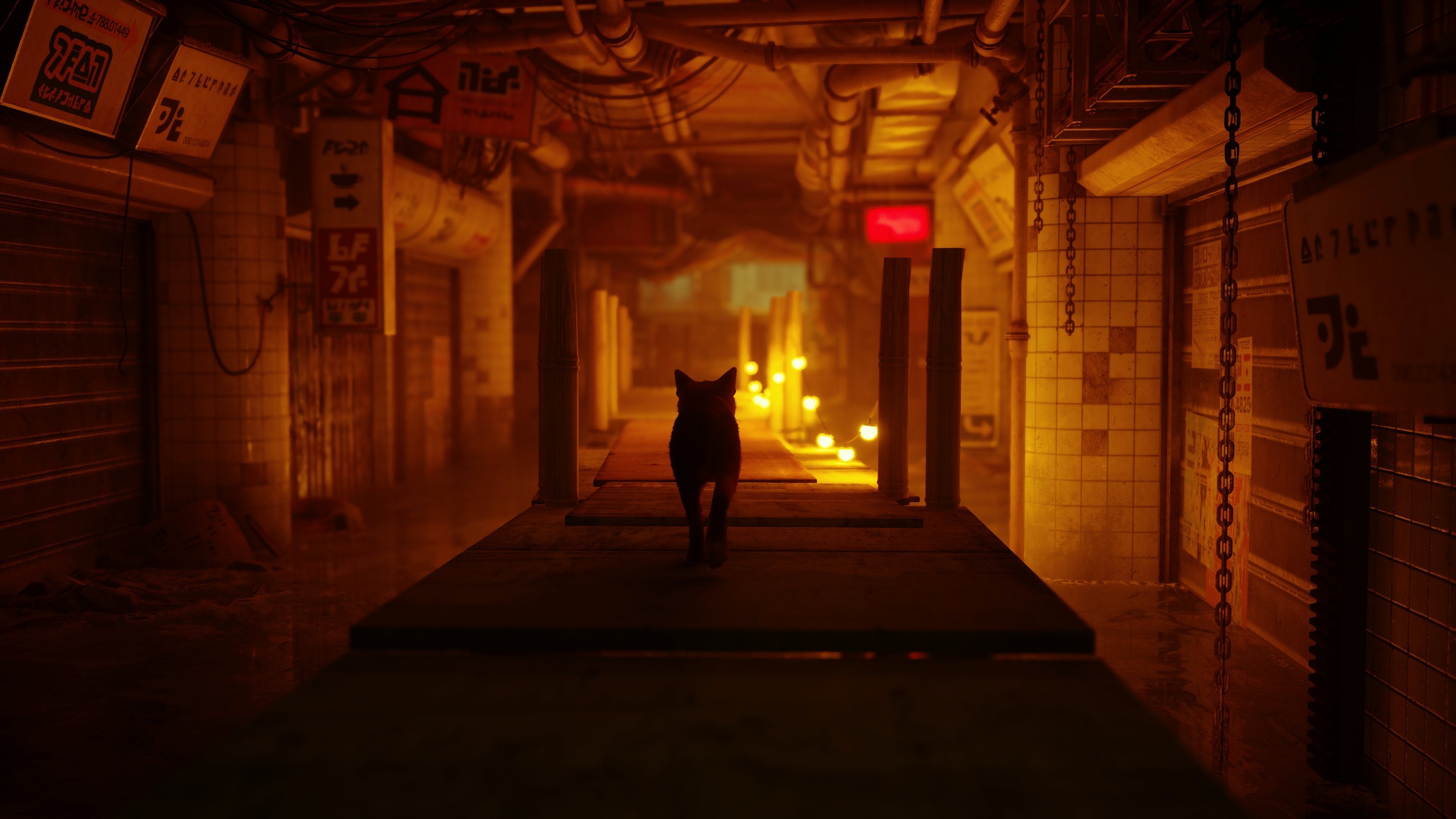 Stray