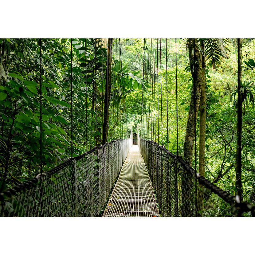 Portatil Hp Elitebook 6 G1i 14 U5-225u Syst