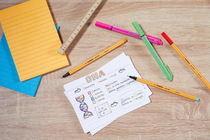 EAN 4006381292382 - STABILO point 88 rotulador de punta fina Gris 1 pieza(s) imagen 9