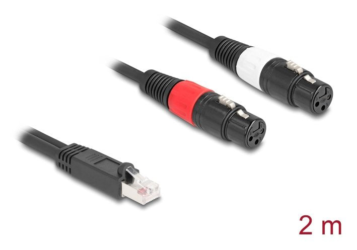 Delock Adaptercable Rj45 Stecker Zu 2 X Xlr 3 Pin Buchse Schwarz 2 M