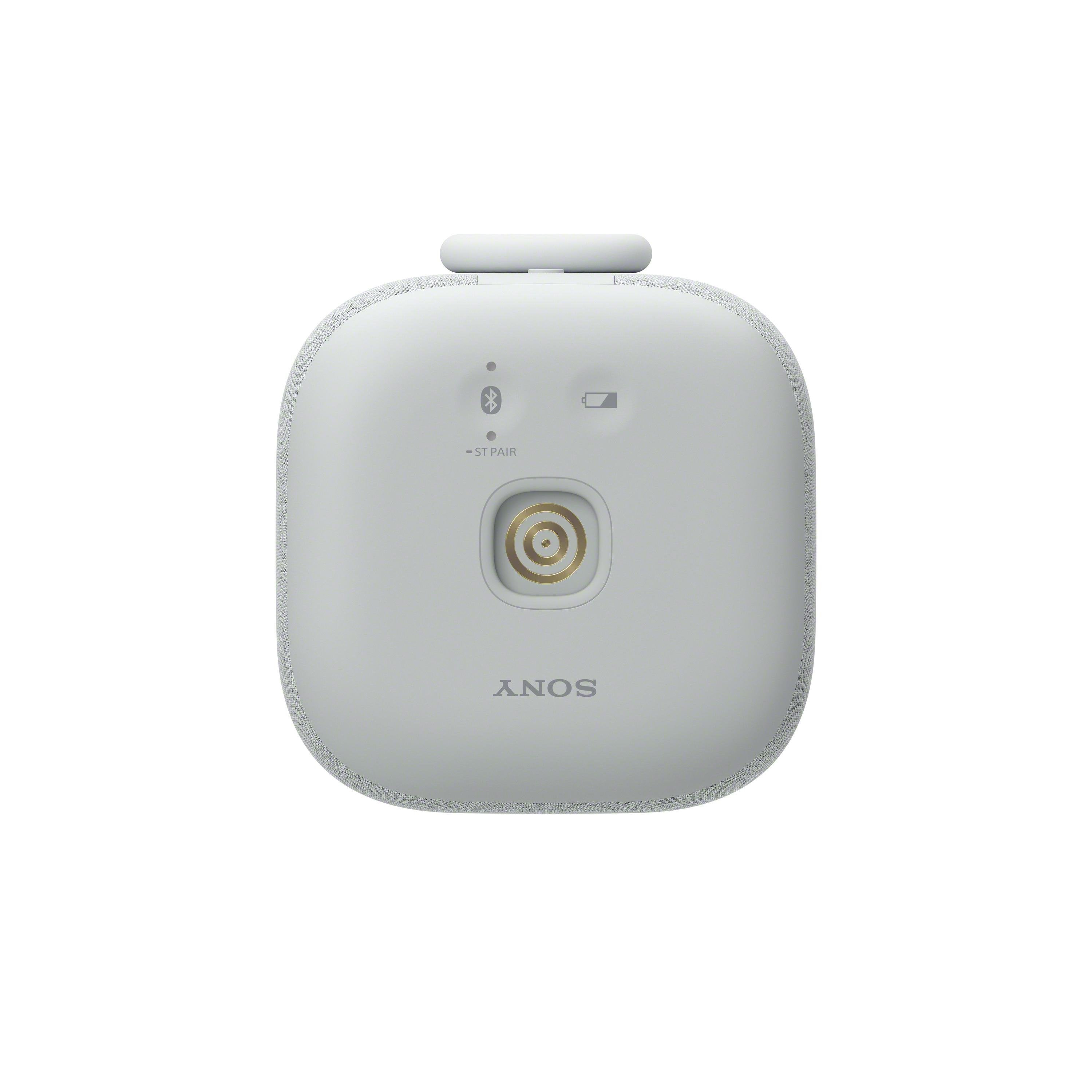 EAN 4548736158955 - Sony SRSLS1H acoplamiento altavoz 1.0 canales 0,3 W Gris claro imagen 2