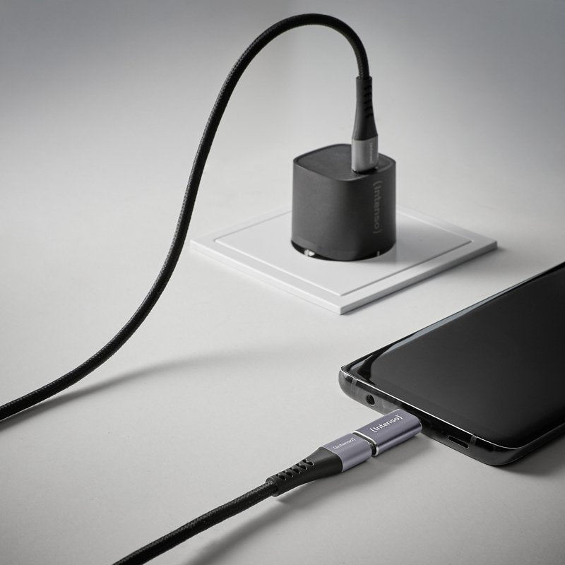 EAN 4034303038152 - Intenso 7600913 cambiador de género para cable Gris imagen 19