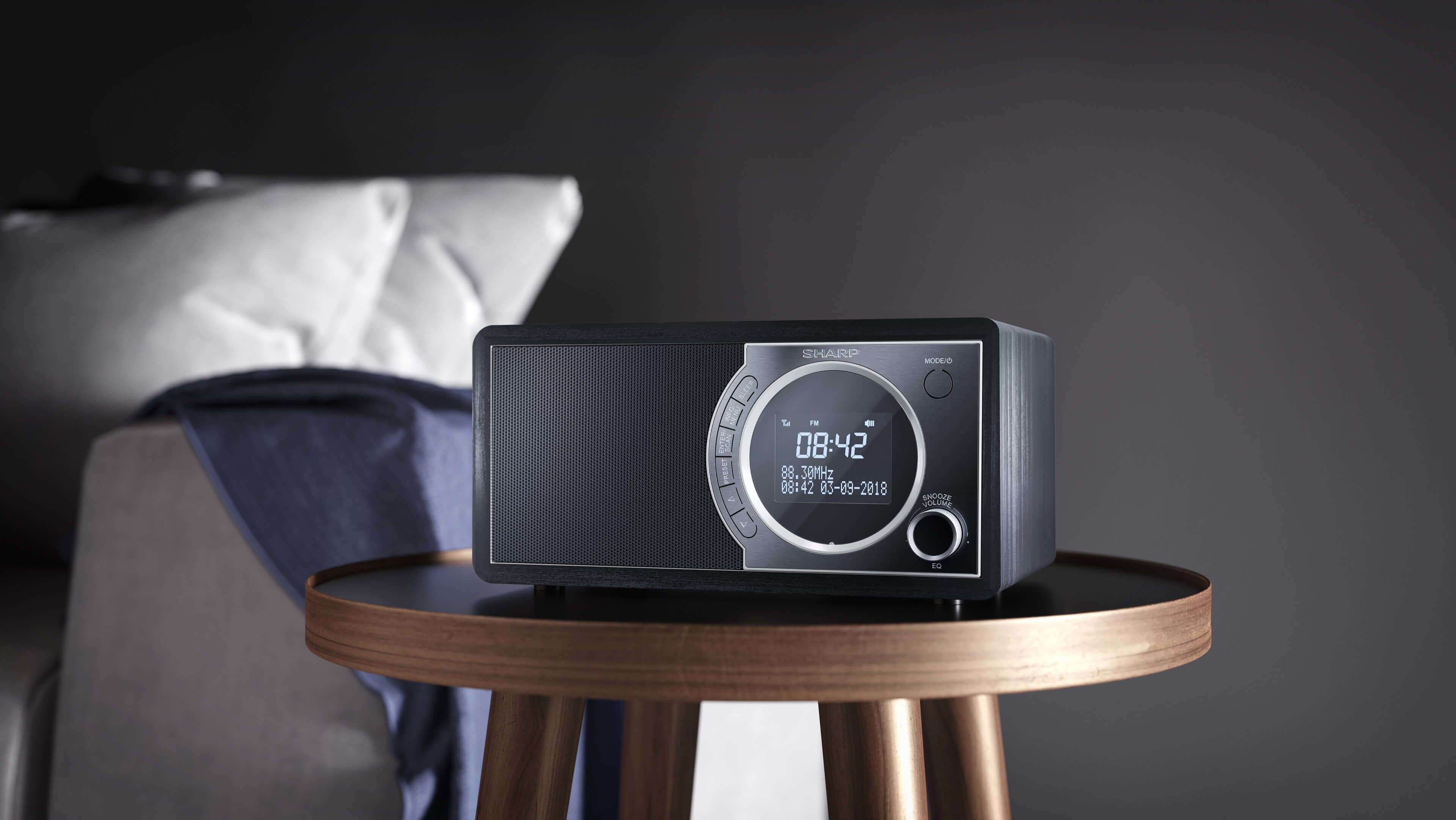 EAN 4974019975863 - Sharp DR-450 Personal Digital Negro, Acero inoxidable imagen 5