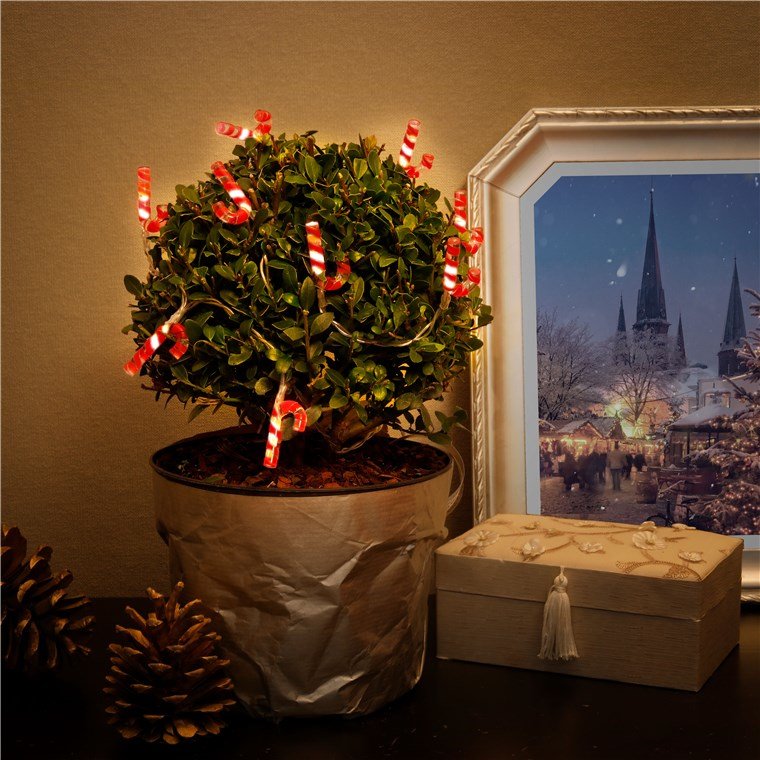 Guirnalda De Luces "Bastones De Caramelo" Con 10 Led
Con Función De Temporizador, Blanco Cálido (3000 K), Funcionamiento Con Pil