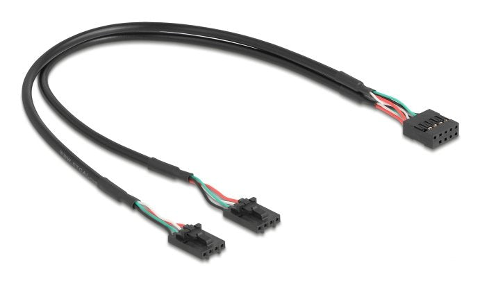 Delock Cable Usb 2.0 Pfostenhembra 2,54 Mm 10 Pin A 2 X Usb 2.0