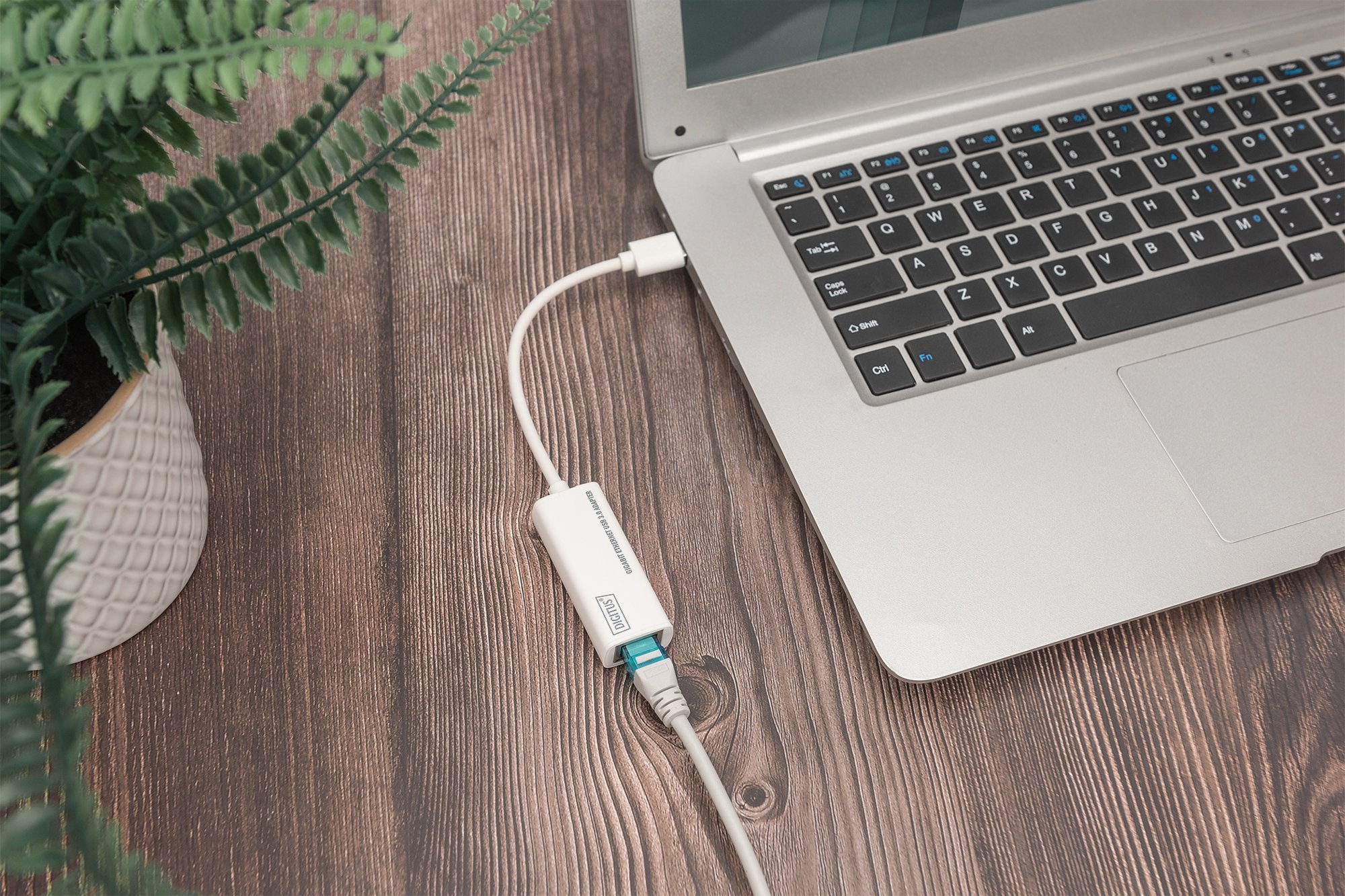 EAN 4016032318385 - Digitus DN-3023 tarjeta y adaptador de interfaz imagen 3