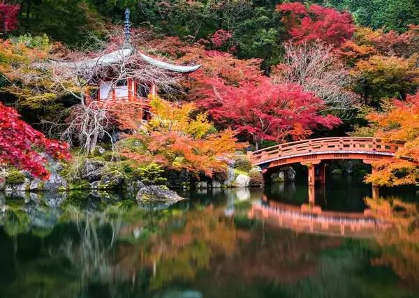 Puzzle 1000 Elementów Ogród Dai Go-Ji Kyoto Japonia