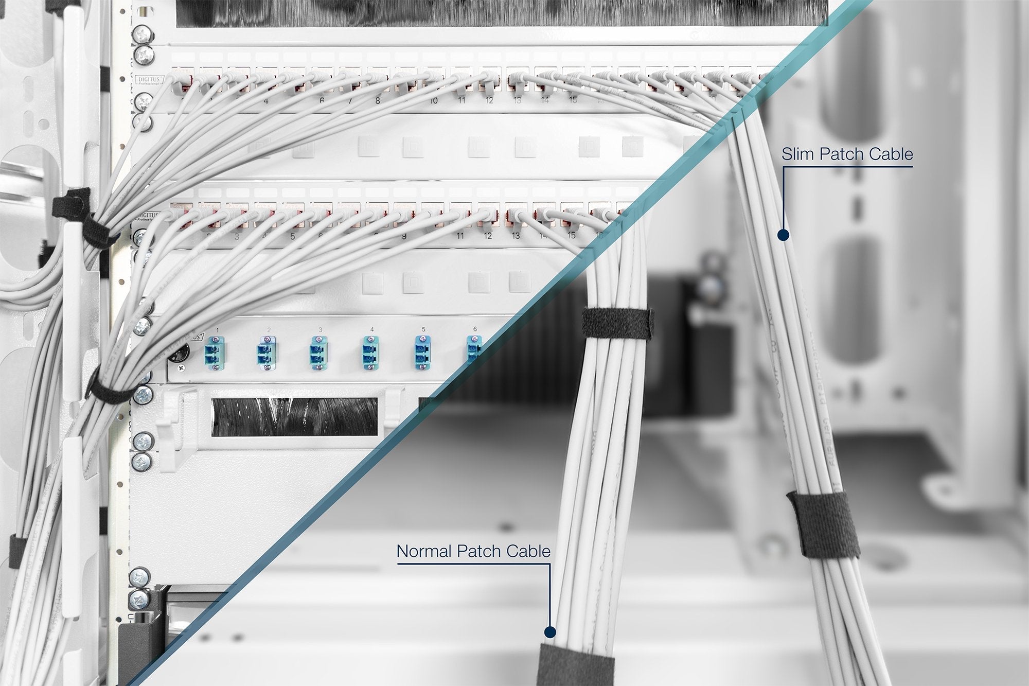 Digitus Cable De Red Cat 6 U/Ftp Slim 3m