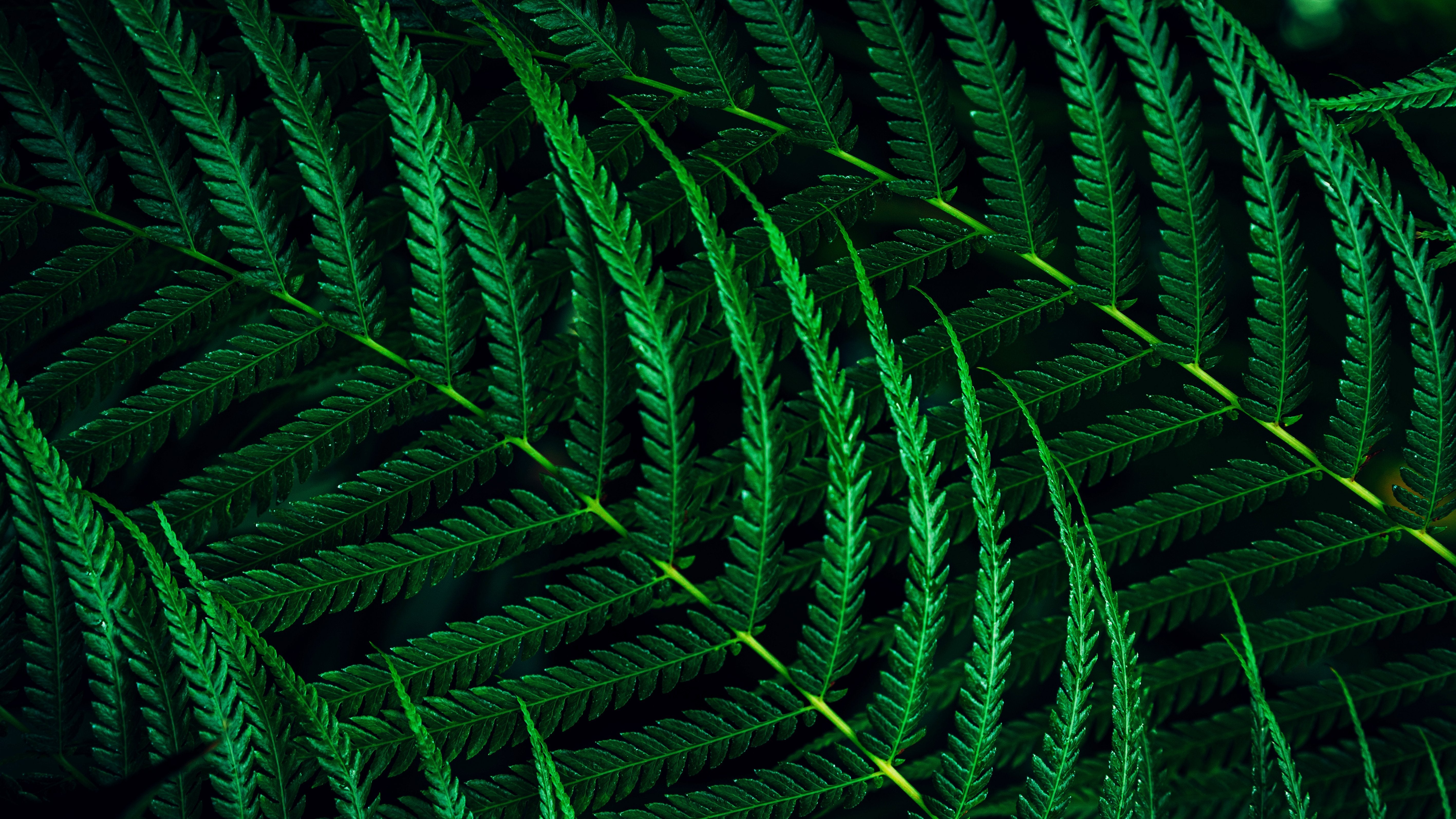 Monitor Philips 27b2g5200 00 27" Fhd Led 16:9 Ips 75hz D-Sub Hdmi 1.4 Dp 1.2